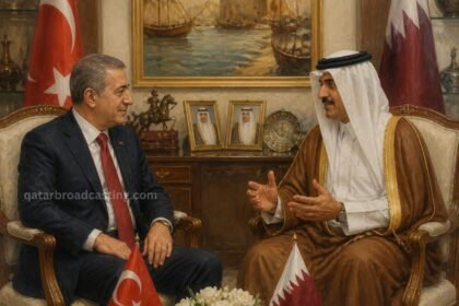 Minister of State for Foreign Affairs Receives Credentials of Incoming Turkish Ambassador